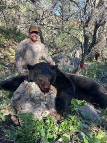 Arizona Bear Hunting Outfitter – Guided Black Bear Hunts with Hounds Arizona Bear Hunting Outfitter – Guided Black Bear Hunts with Hounds
